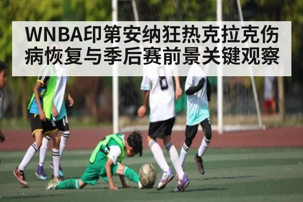 WNBA印第安纳狂热克拉克伤病恢复与季后赛前景关键观察 | c7c7